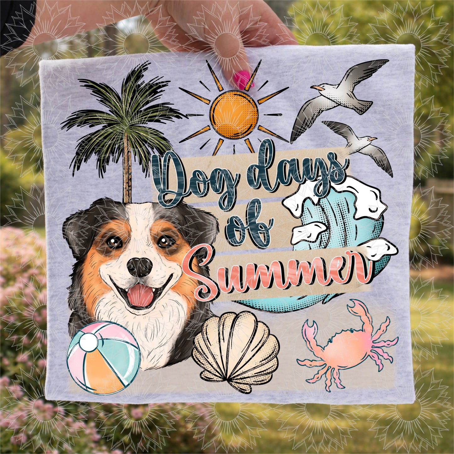 Dog Days of Summer Australian Shepherd