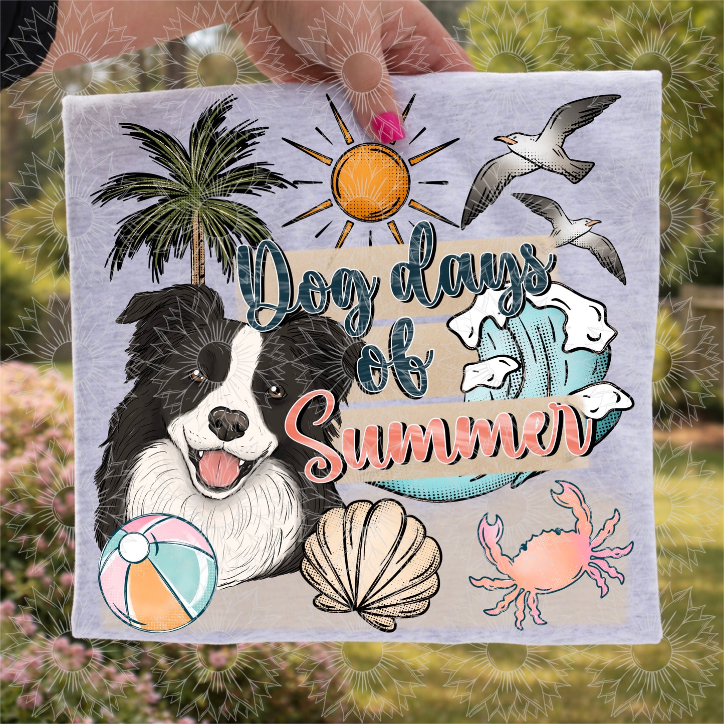 Dog Days of Summer Border Collie