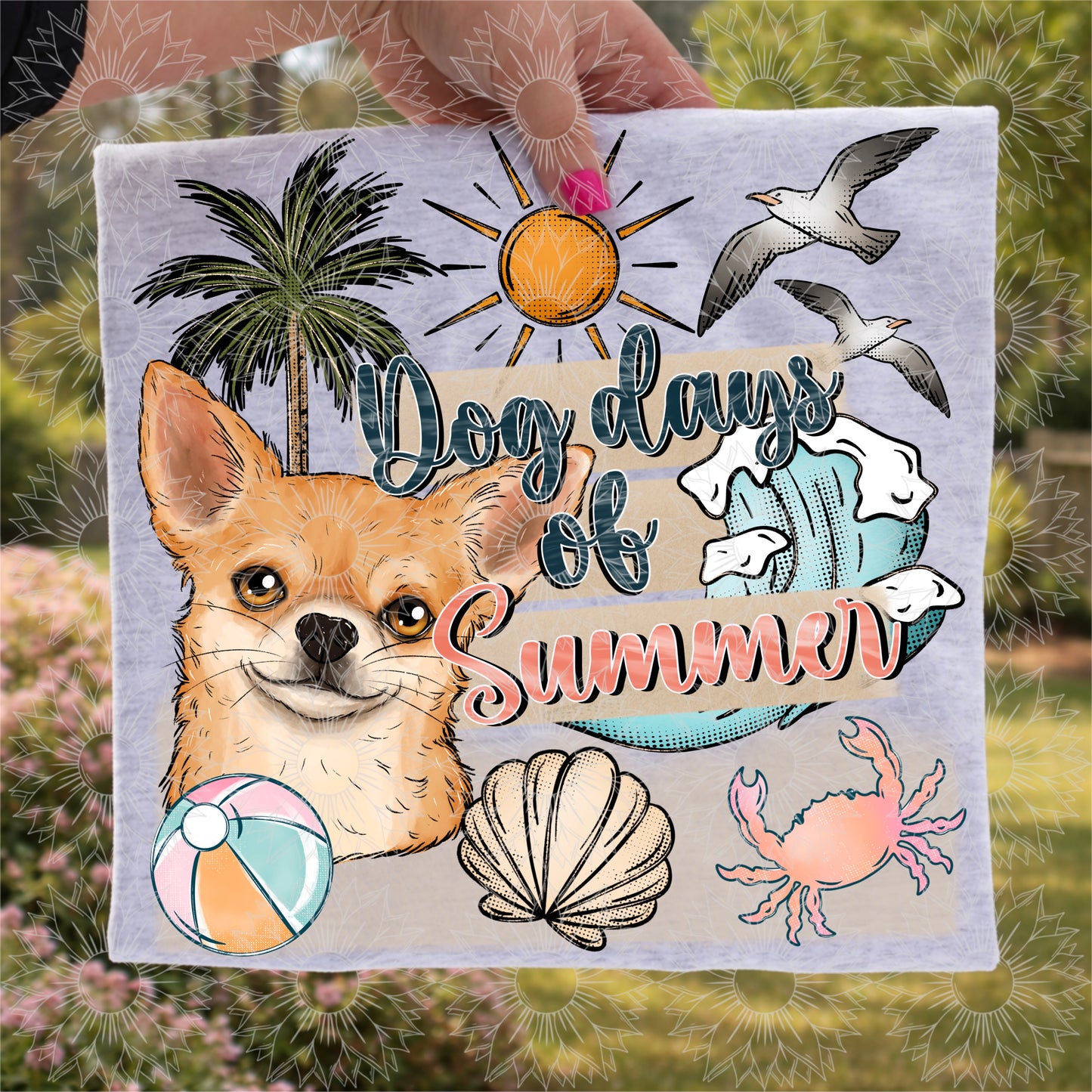 Dog Days of Summer Chihuahua