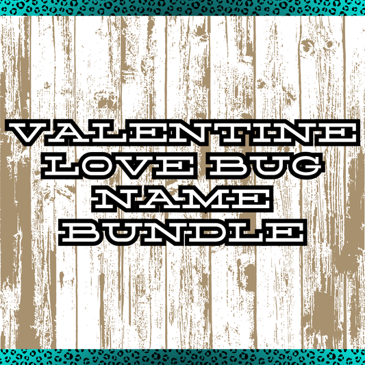 Valentines Love Bug Custom Name Drive