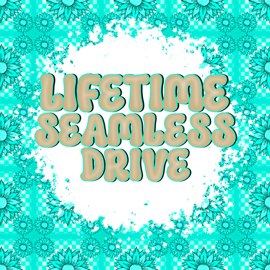 Lifetime Seamless Drive