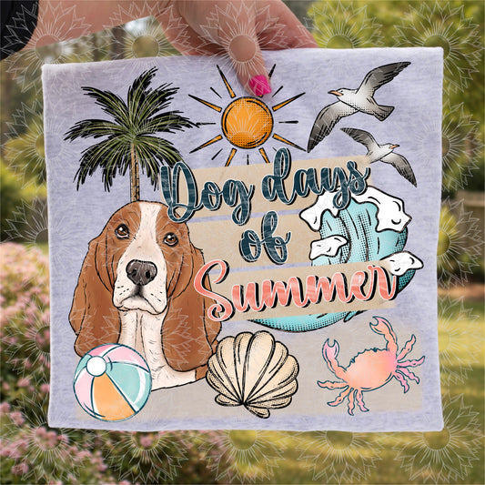 Dog Days of Summer Basset Hound