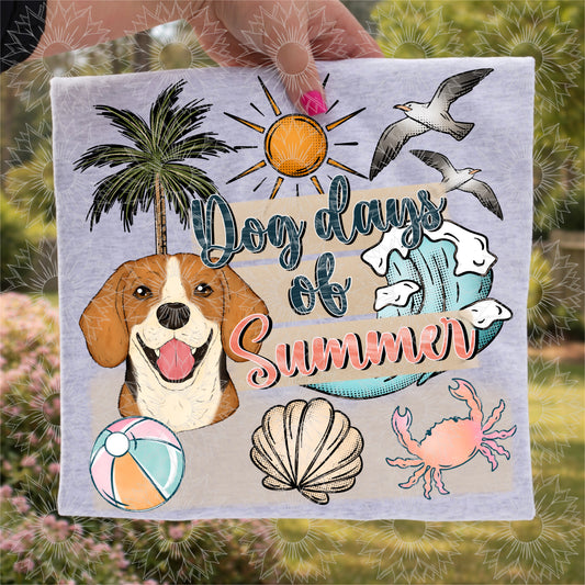 Dog Days of Summer Beagle