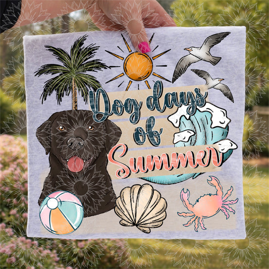 Dog Days of Summer Black Lab