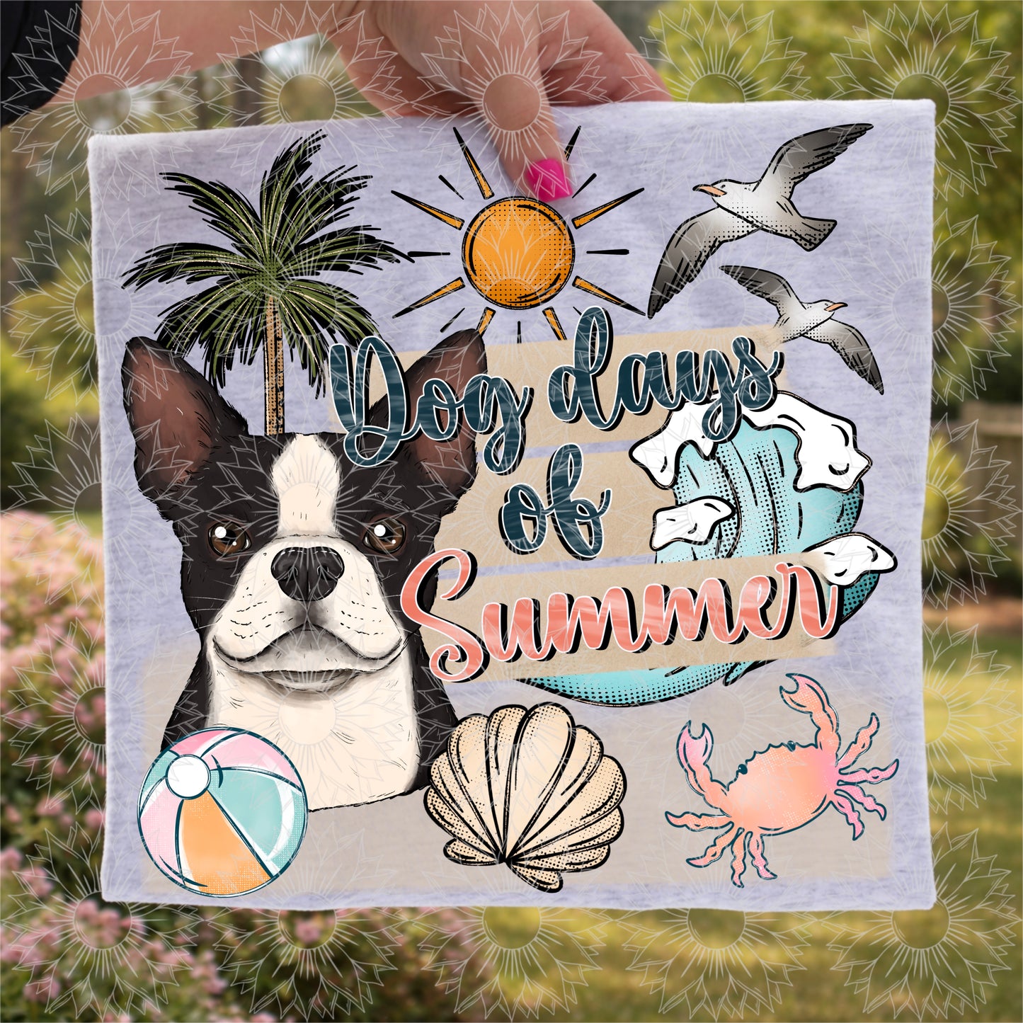 Dog Days of Summer Boston Terrier