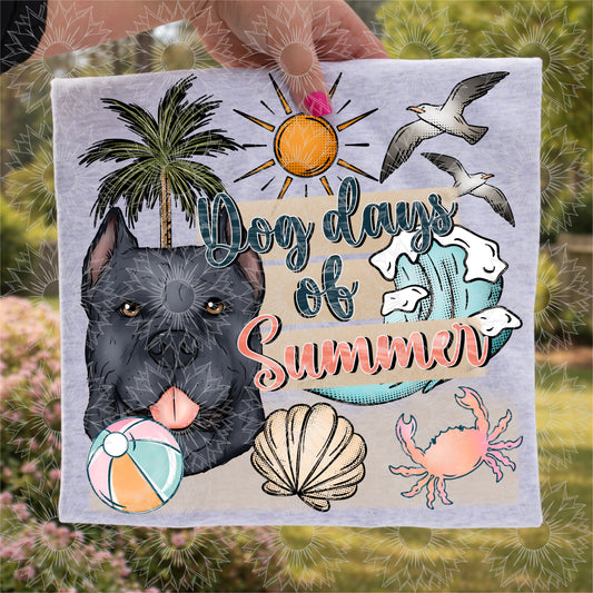 Dog Days of Summer Cane Corso