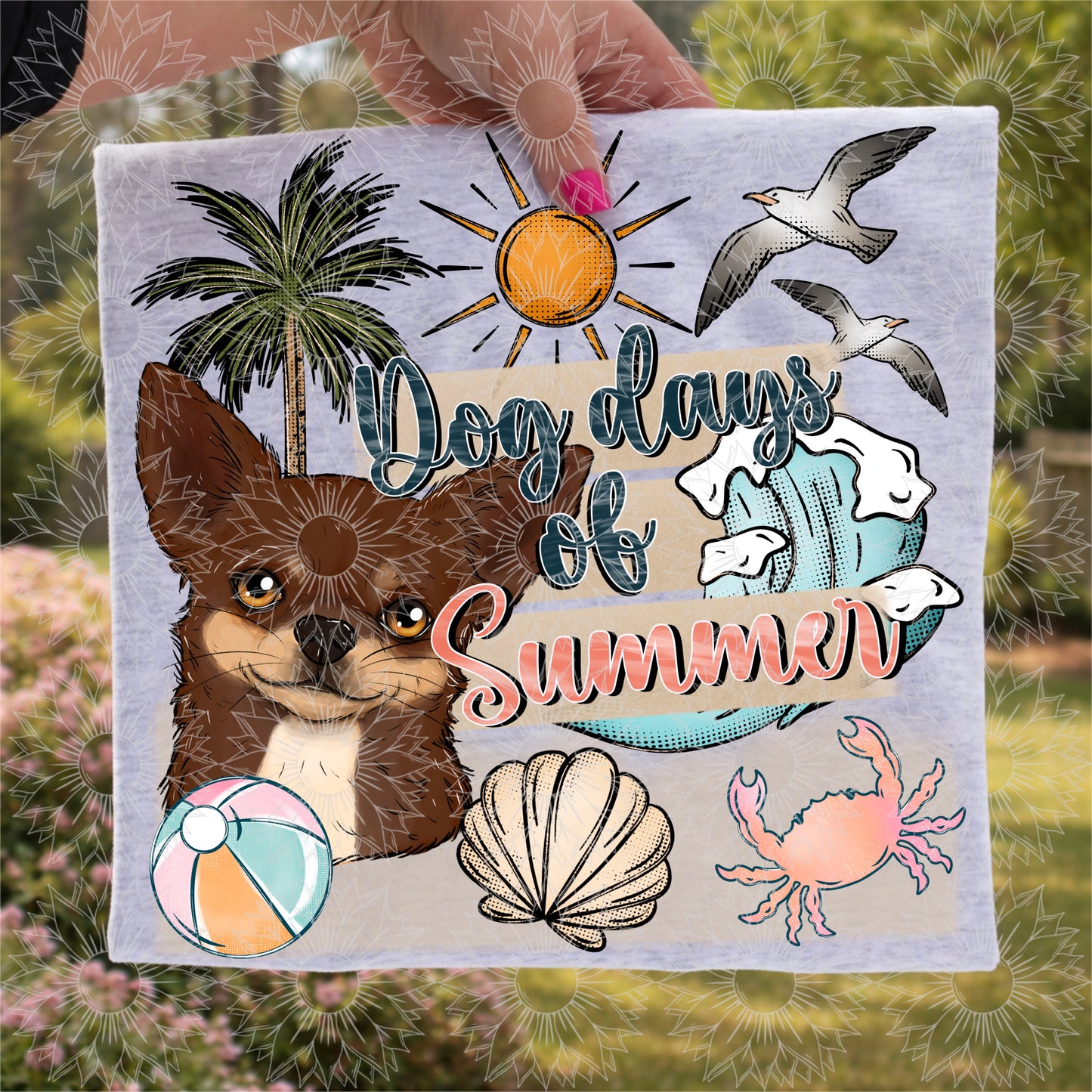 Dog Days of Summer Chocolate Chihuahua