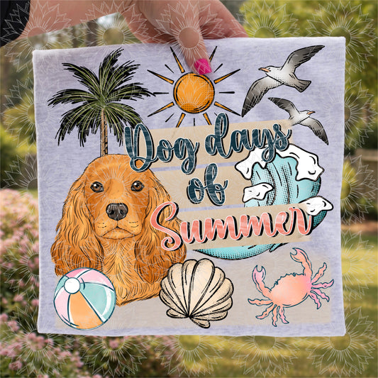 Dog Days of Summer Cocker Spaniel
