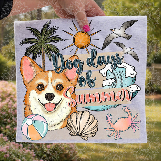 Dog Days of Summer Corgi