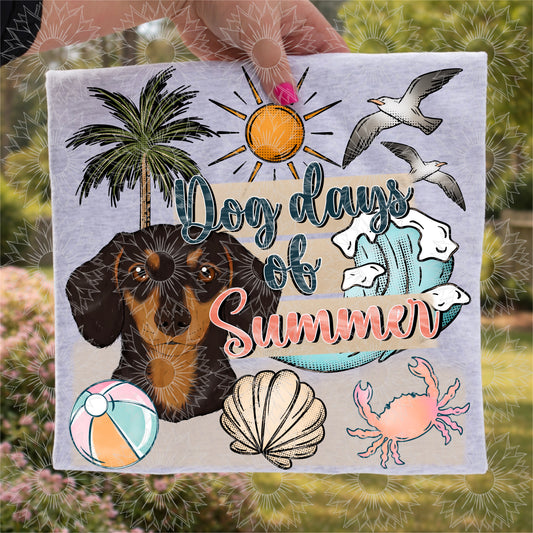 Dog Days of Summer Daschund Black & Tan