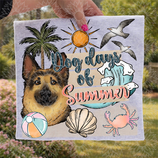 Dog Days of Summer German Shepherd