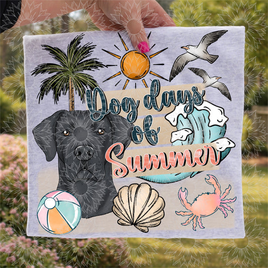 Dog Days of Summer Great Dane
