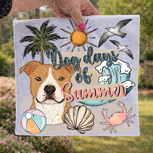 Dog Days of Summer Pitbull