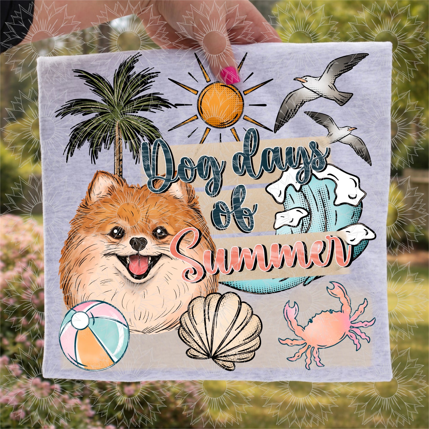 Dog Days of Summer Pomeranian