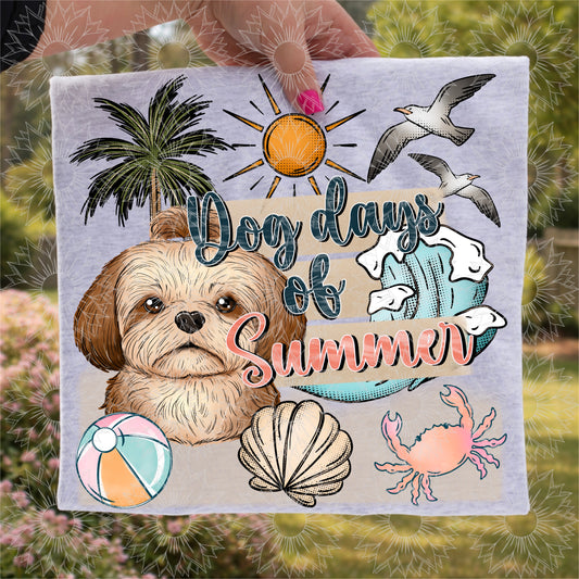 Dog Days of Summer Shitzu