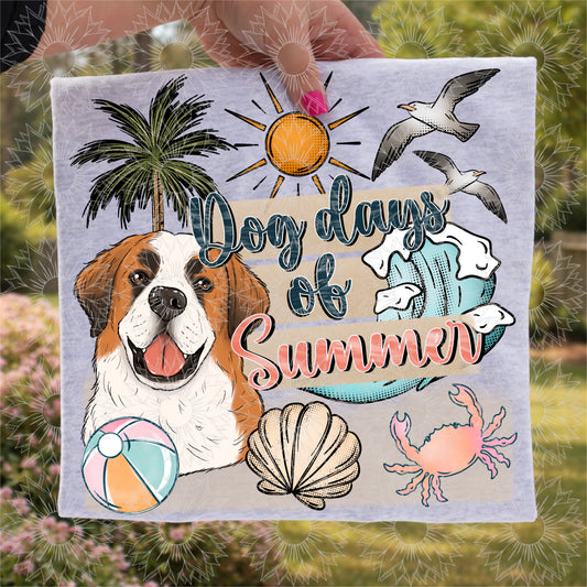 Dog Days of Summer St. Bernard
