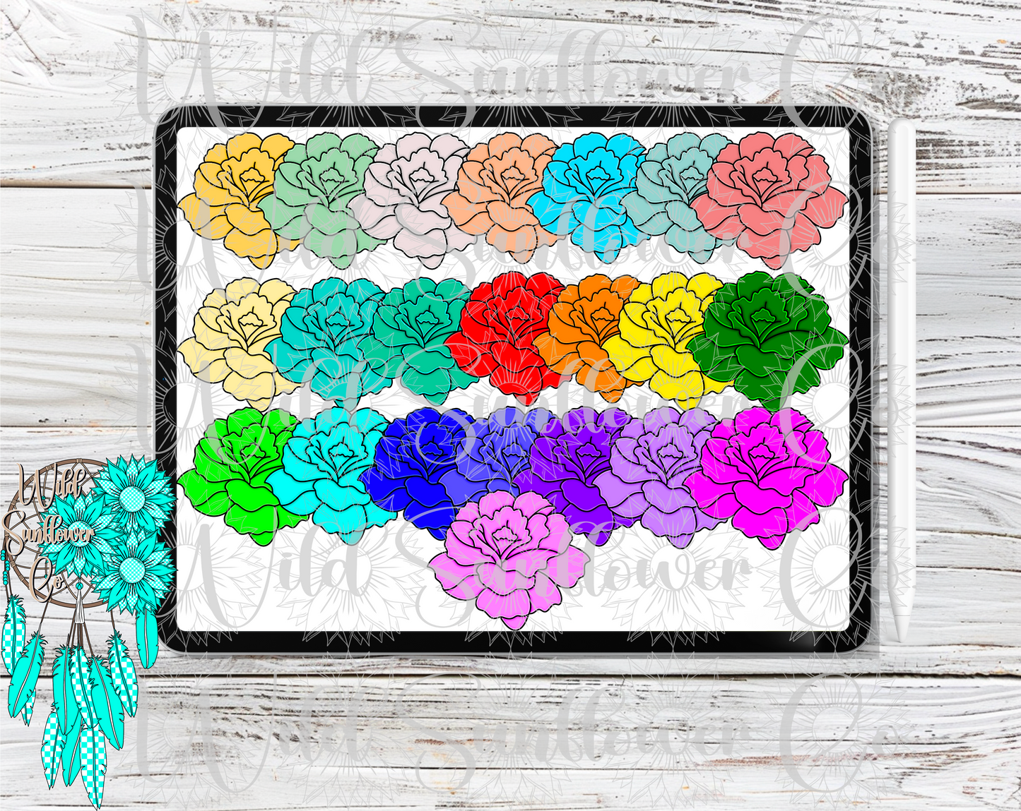 Carnations Clipart Set