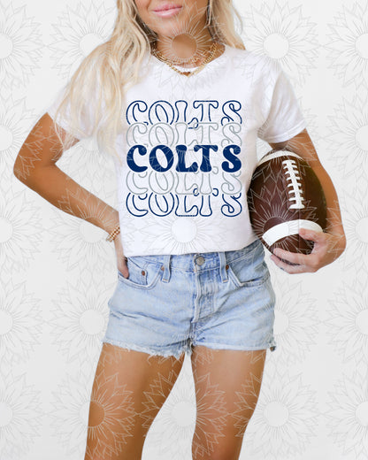 Pro Football Stacked Mascot Names