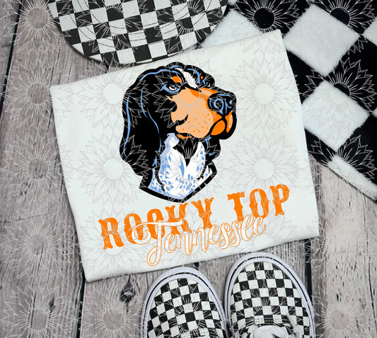 Rocky Top Tennessee