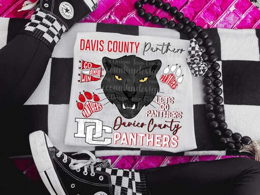 School Mascot Custom