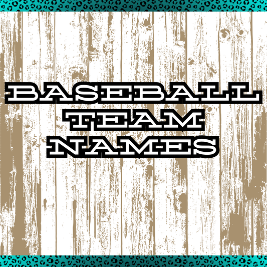 Baseball Team Names